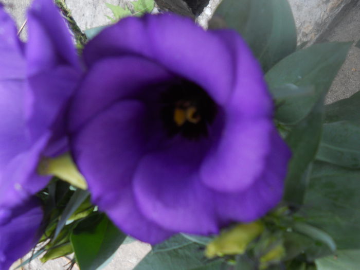 DSCN6776