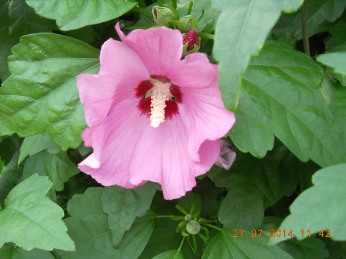 044