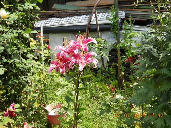046
