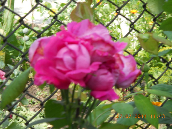 057