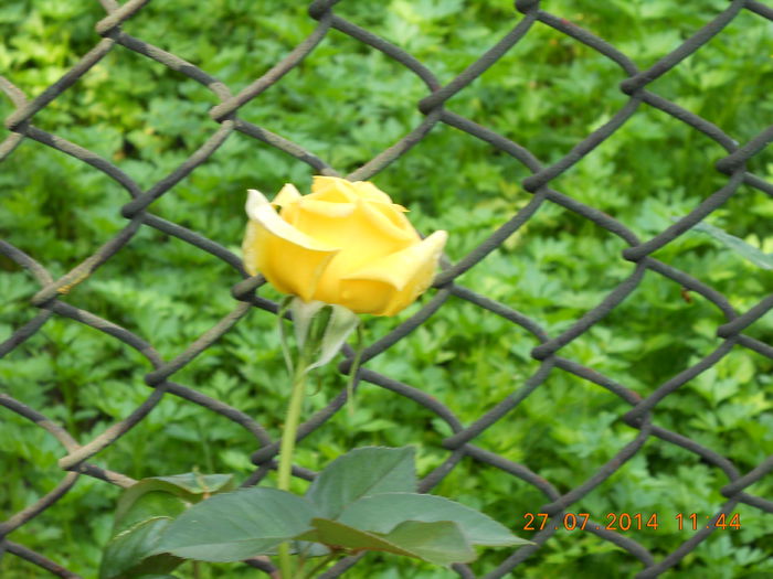 058