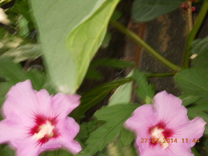060