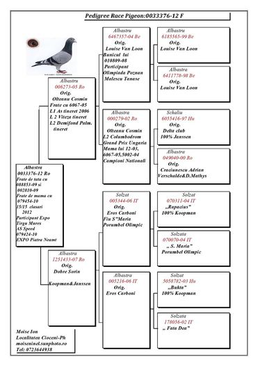 Moise-Ninel-RO-033376-2012-F-pedigree