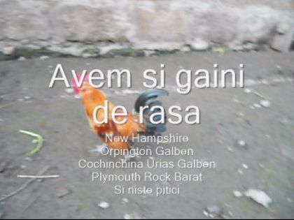 DSCN1276_1_ 001_0001