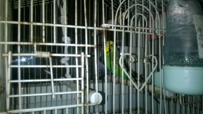 WP_20140727_020