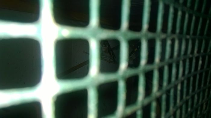 WP_20140727_022