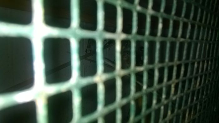 WP_20140727_023