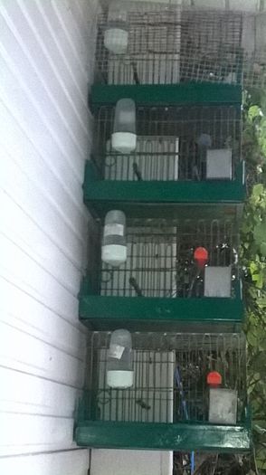 WP_20140727_031
