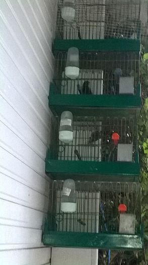 WP_20140727_032