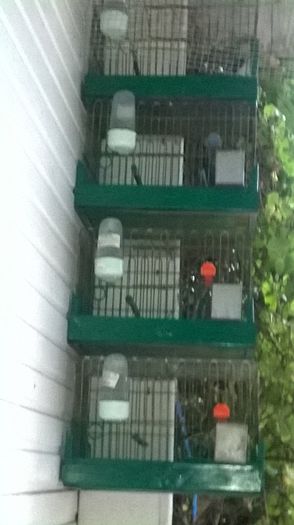 WP_20140727_033