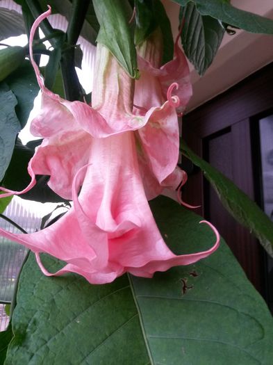 20140726_193340