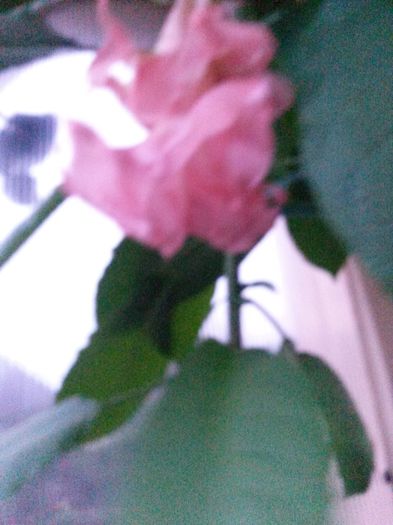 20140726_210433