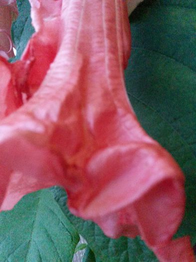20140726_210457