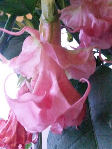 20140726_210551