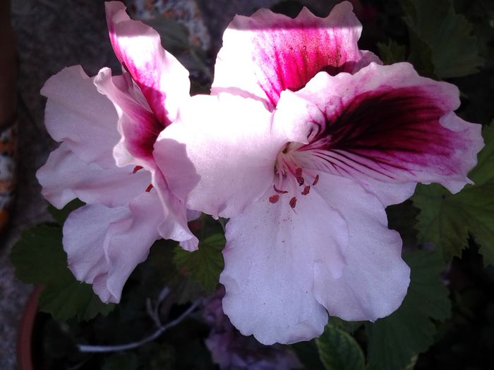 20140727_091122