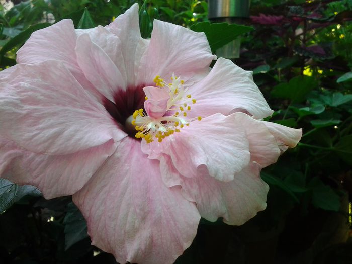 20140727_090407
