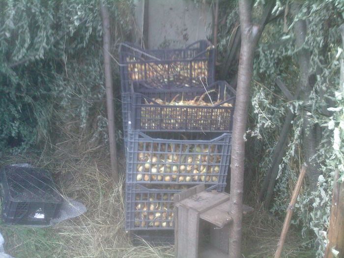 Asta e toata - Productie 2014