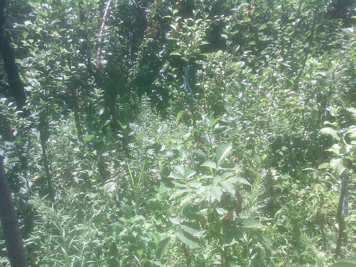 SP_A0318 - Productie 2014