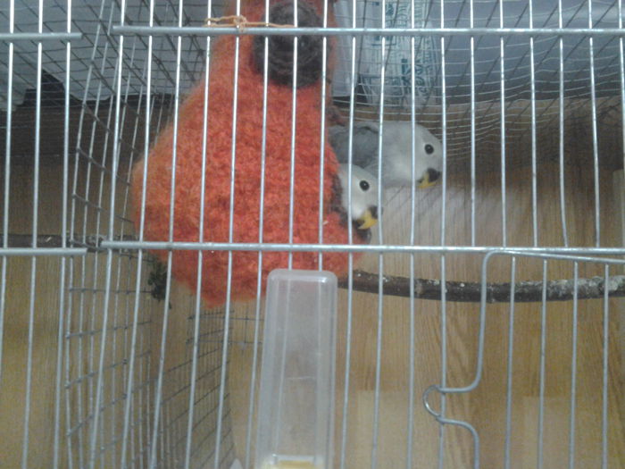 Fotografie0202 - Agapici