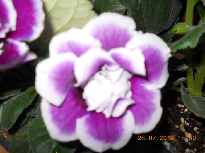 012 - IULIE 2014