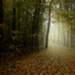 Toamna este o a doua primăvară, în care fiecare frunză este o floare.