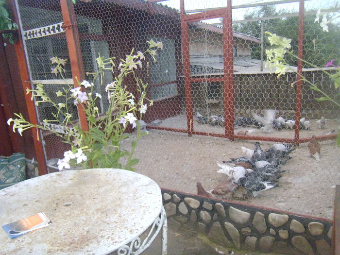 P1190079