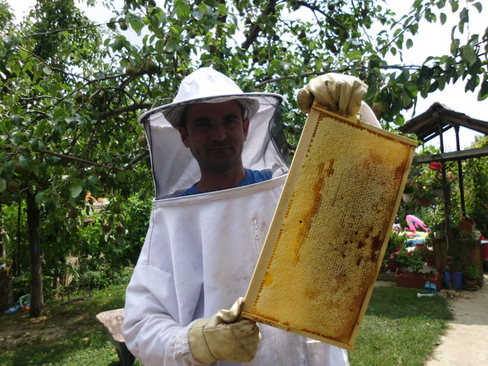 IMG_0285 - Plante la gramada