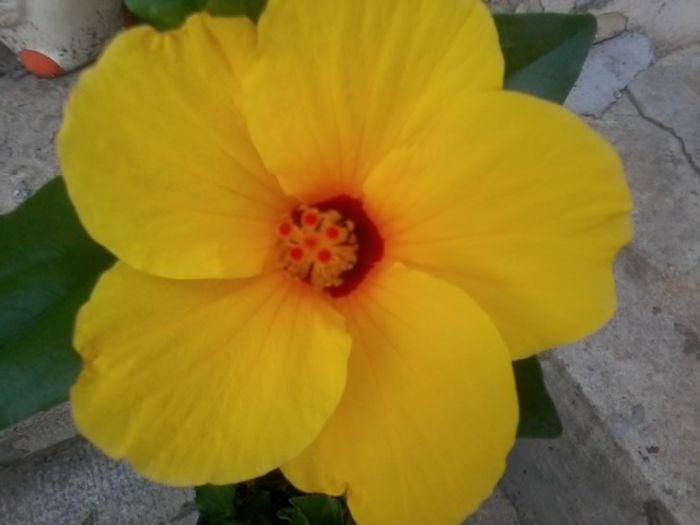 20140729_160538