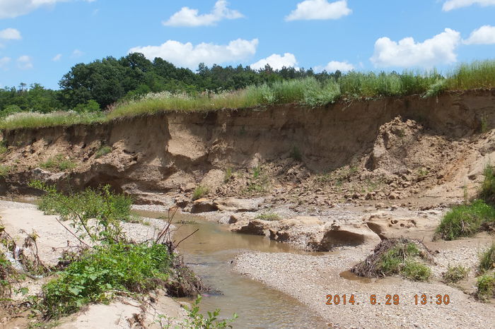DSCF3330; Ce spuneti....exista sanse de stopare a eroziunii solului?
 Am incercat pentru inceput cu cateva catalpe...vreo 30 si ceva de exemplare.
