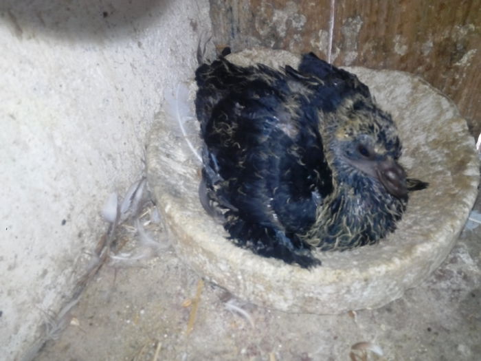 IMG_20140729_174911738