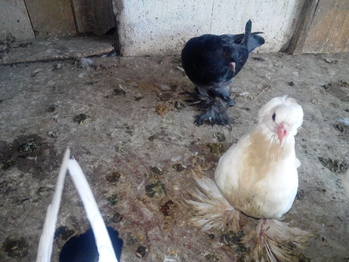 IMG_20140729_174837734