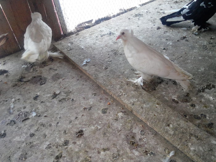 IMG_20140729_174831538