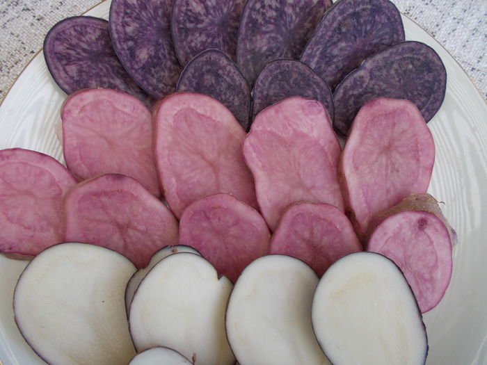  - cartofi colorati 2015