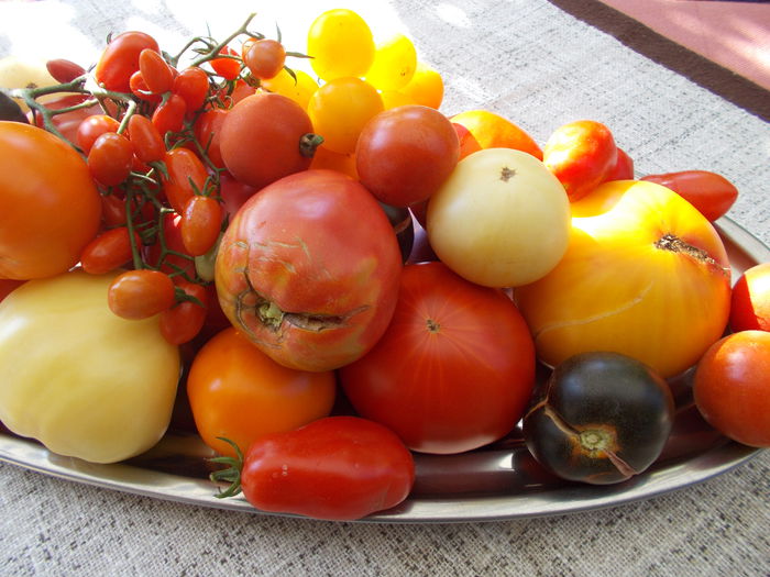  - VAND SEMINTE ROSII TOATE CULORILE