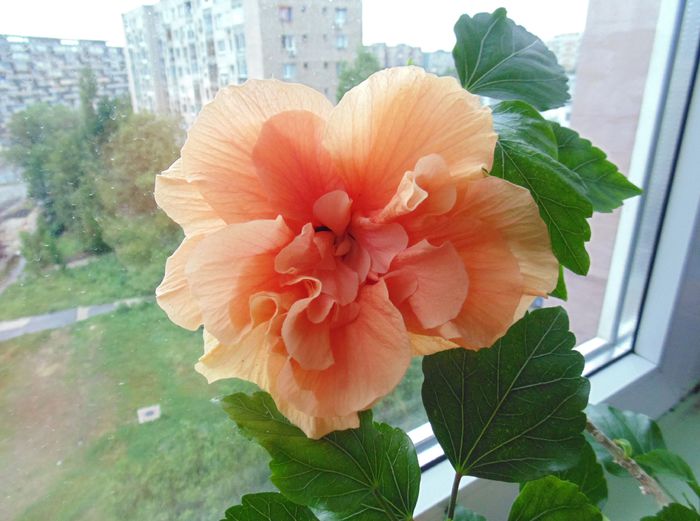 DSC04870