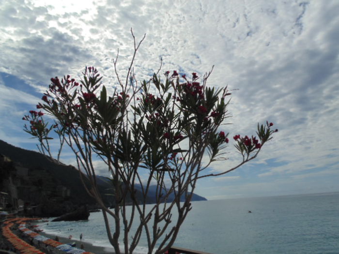 picture 214 - Cinque Terre Italia 2014