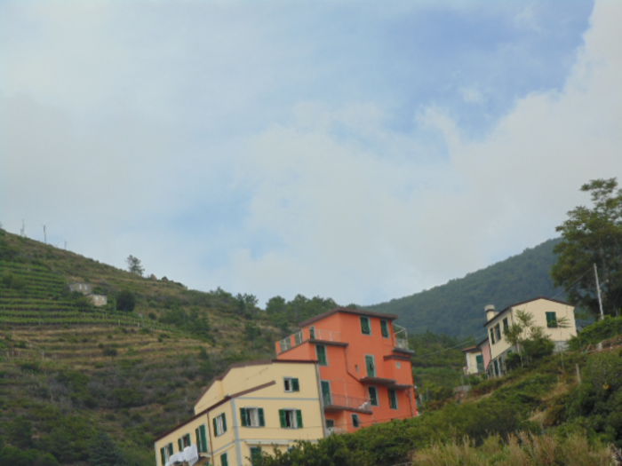picture 282 - Cinque Terre Italia 2014