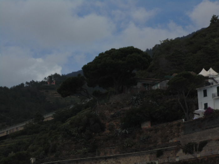 picture 283 - Cinque Terre Italia 2014