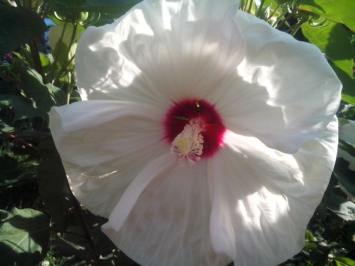 new folder 2 1054 new folder 2 1054