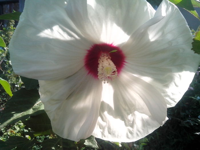 new folder 2 1057 new folder 2 1057