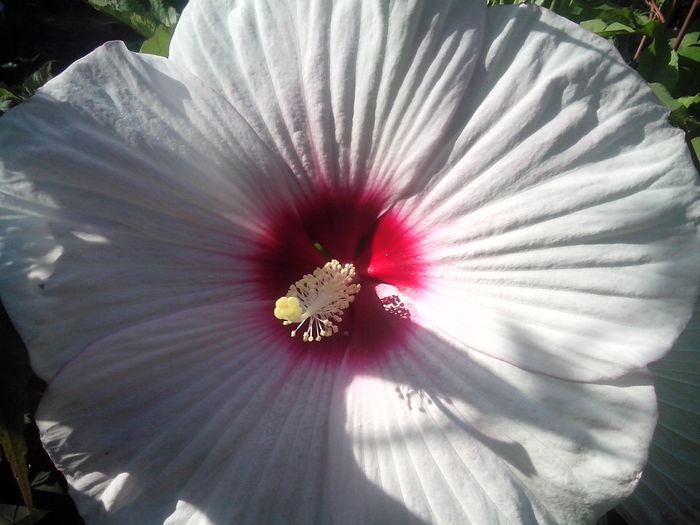 new folder 2 1059 new folder 2 1059