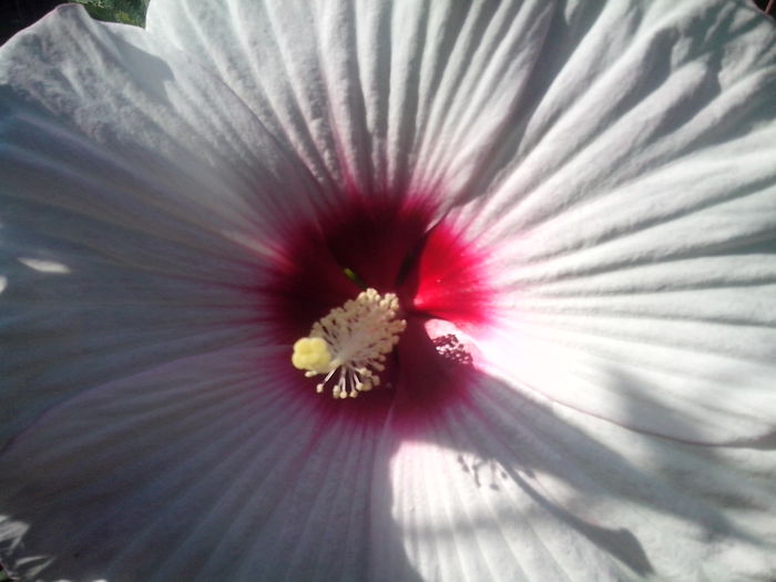 new folder 2 1060 new folder 2 1060