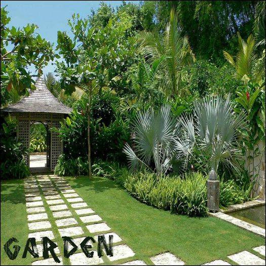  - ii - Garden - ii