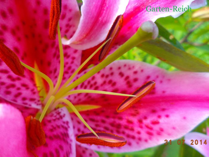 ...oder duftende kleine Schuhe