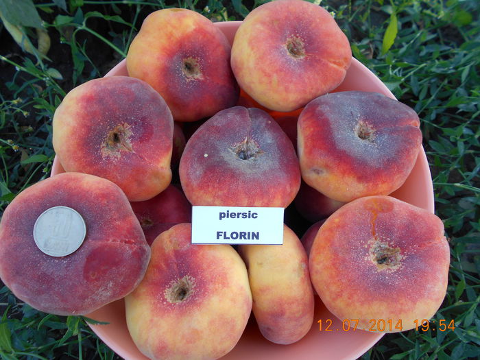 FLORIN ( 100 - 150 gr ) - Piersici si nectarine PLATE