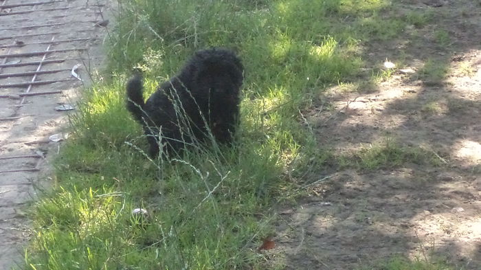 NERO O AMINTIRE - PAZNICI CREDINCIOSI LA DATORIE