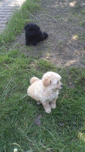 DSC05488 - PAZNICI CREDINCIOSI LA DATORIE