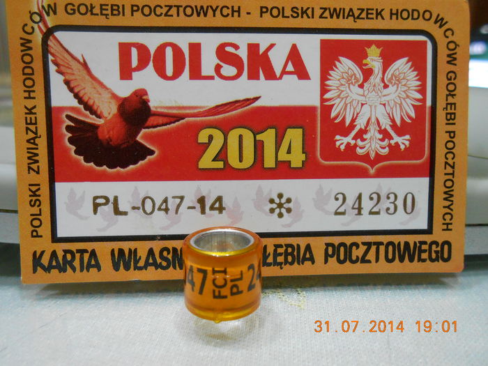 PL FCI 2O14 - POLONIA PL