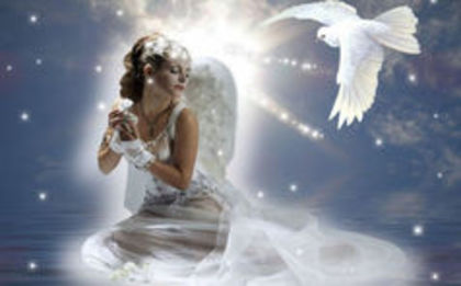 93279459_SWSCWNT3 - Angel