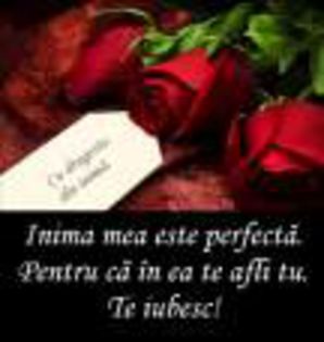 inima_mea_e_perfecta_pentru_ca_in_ea_te_afli_tu_te_iubesc_trandafiri_rosii-1
